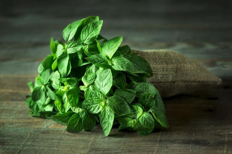 menta ingrediente