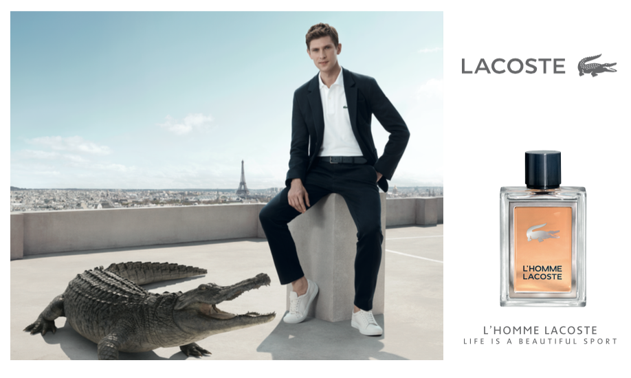 l homme lacoste