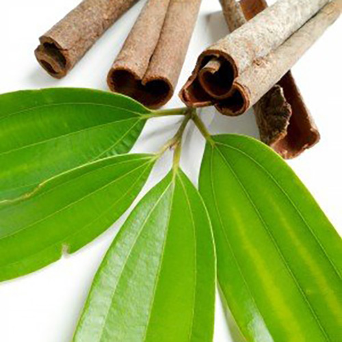 Hojas de Canela