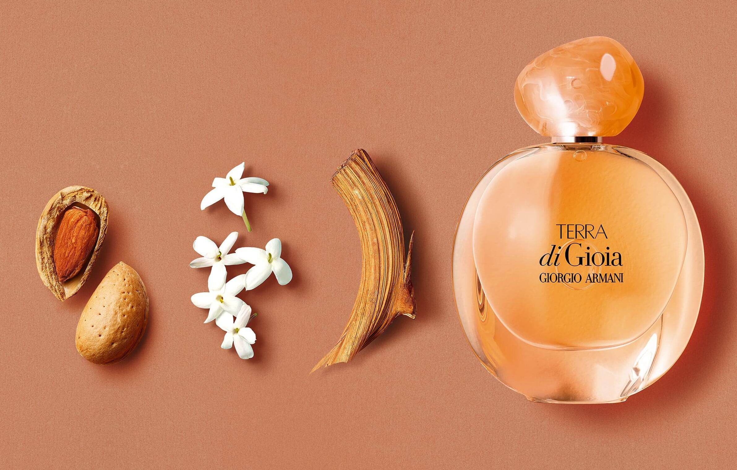 Terra Gi Gioia Ingredientes