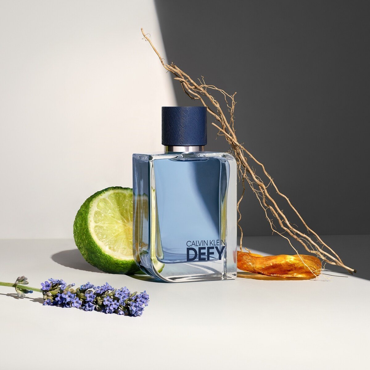 Ingredientes Calvin Klein Defy