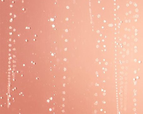 Champaña Victorias secret Bombshell Celebration