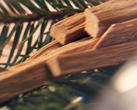 Sándalo Victorias secret Bombshell Celebration