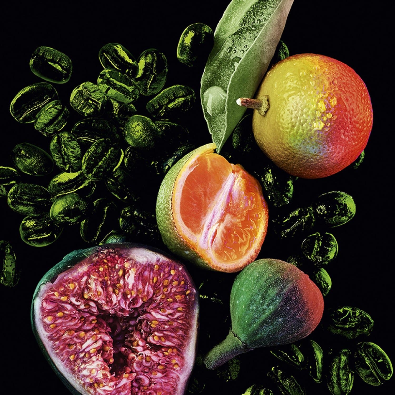 Ingredientes Black Opium Illicit Green