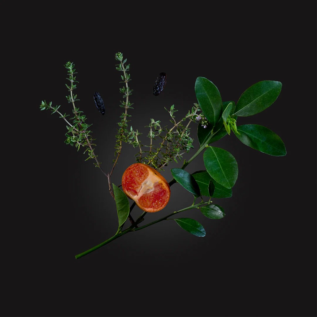 Ingredientes Carios de Parfums de Marly