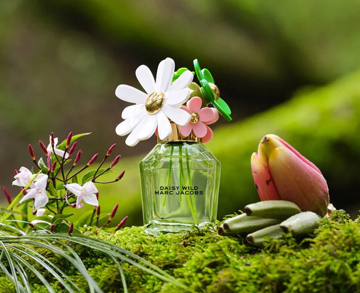 Marc Jabos Daisy Wild